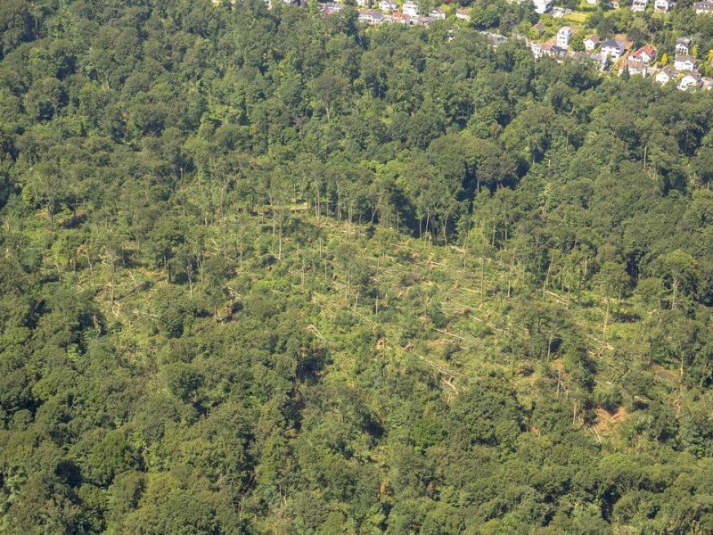 Folgen des Unwetters von Pfingstmontag am Schellenberger Wald in Essen.