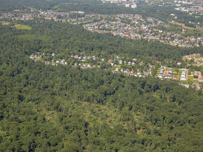 Folgen des Unwetters von Pfingstmontag am Schellenberger Wald in Essen.