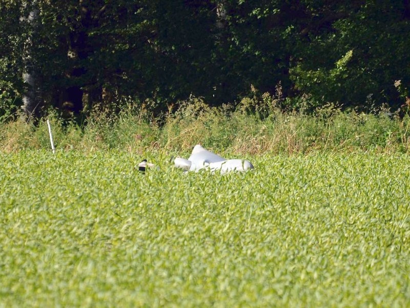 Nach der Kollision mit einem Kampfjet der Bundeswehr ist am Montagnachmittag ein Learjet bei Elpe im Sauerland abgestürzt. Der Unfall geschah bei einer Flugübung. Mindestens ein Insasse des Zivilflugzeugs kam ums Leben.