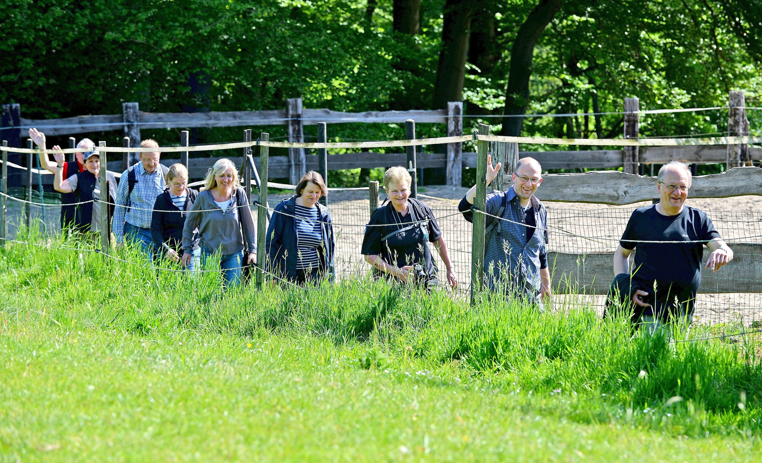 Strahlender Sonnenschein beim NRZ Wandertag 2015 am Baldeneysee.