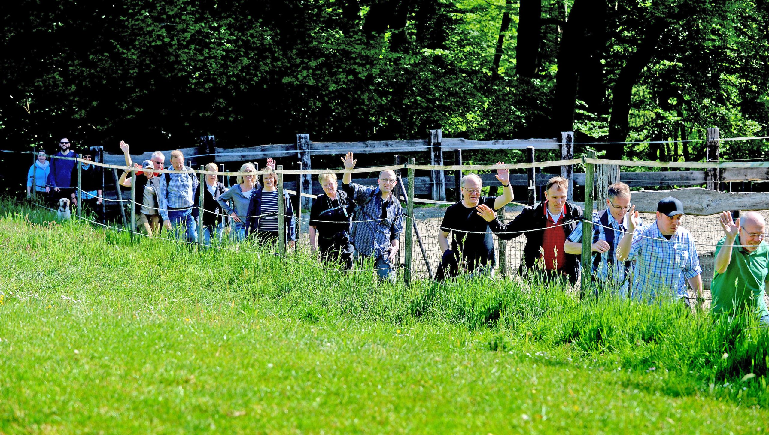 Strahlender Sonnenschein beim NRZ Wandertag 2015 am Baldeneysee.