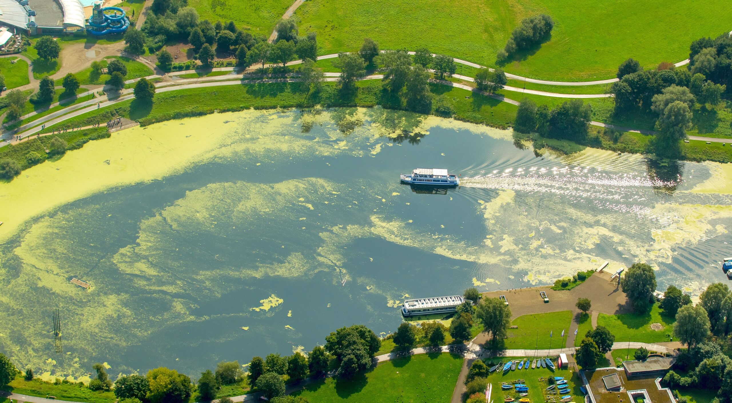 Wasserpest, Elodea, das Fahrgastschiff Schwalbe II legt auf der Wittener Seite in Heveney am Kemnader Stausee und nimmt Fahrgäste auf,  Bochum, Ruhrgebiet, Nordrhein-Westfalen, Deutschland