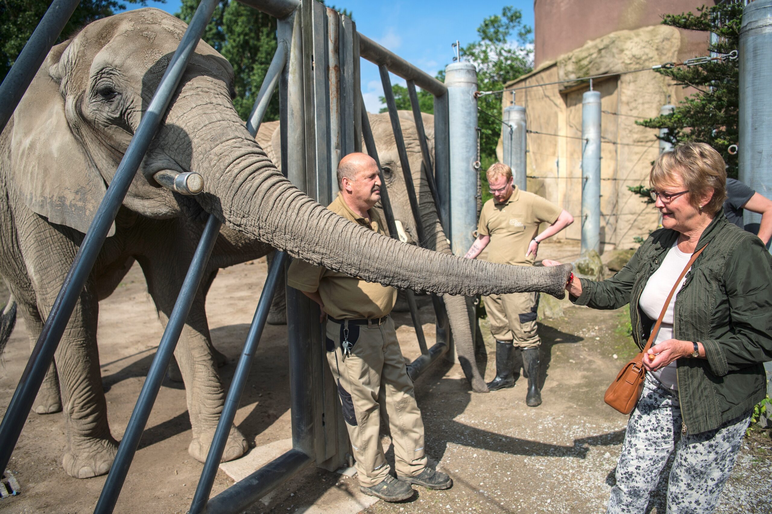 NRZ-Leser blicken im Zoo Duisburg hinter die Kulissen.