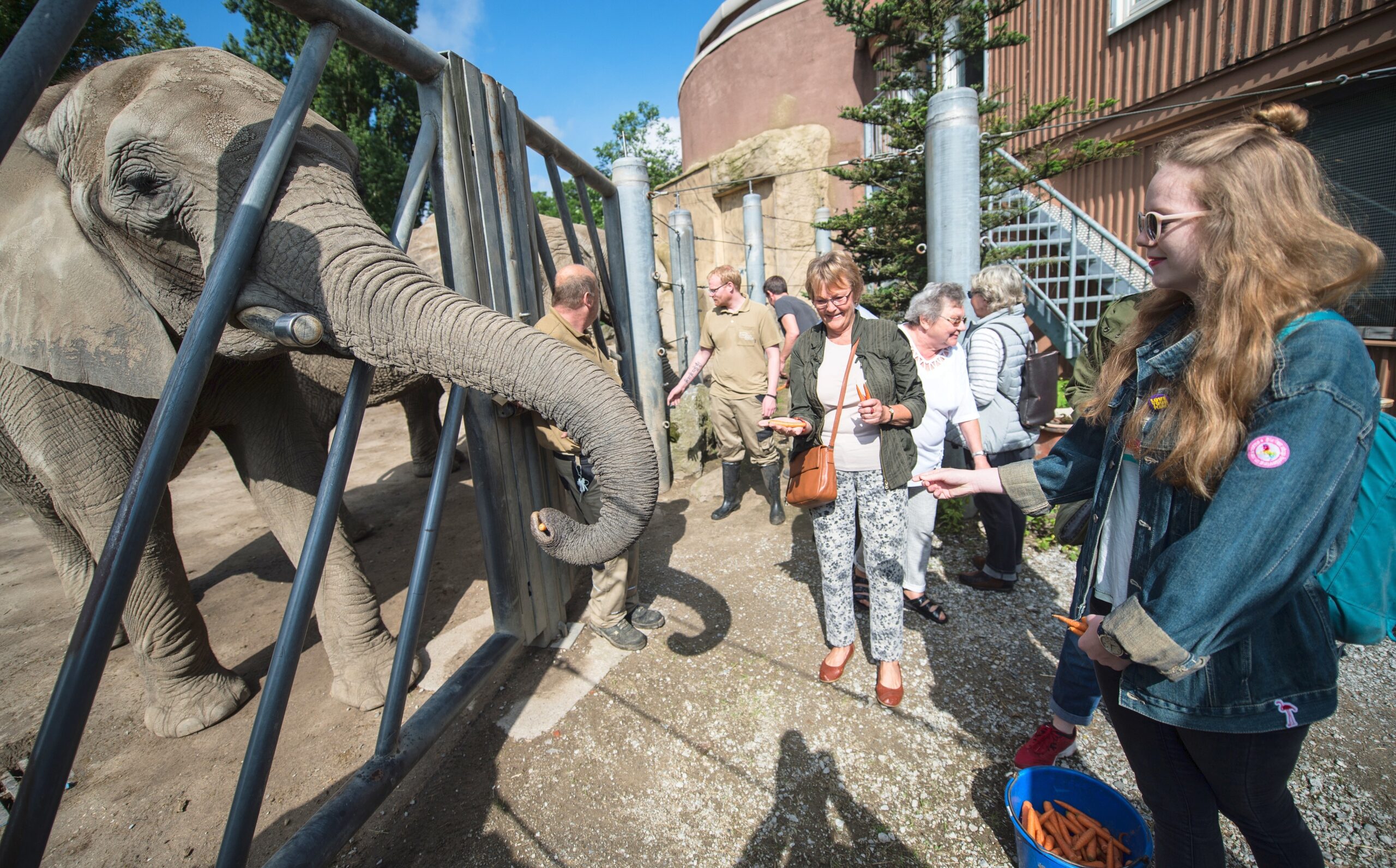 NRZ-Leser blicken im Zoo Duisburg hinter die Kulissen.