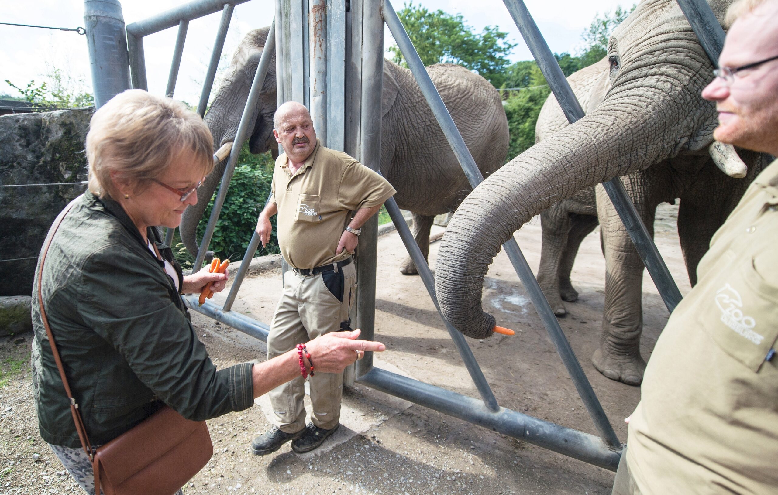 NRZ-Leser blicken im Zoo Duisburg hinter die Kulissen.