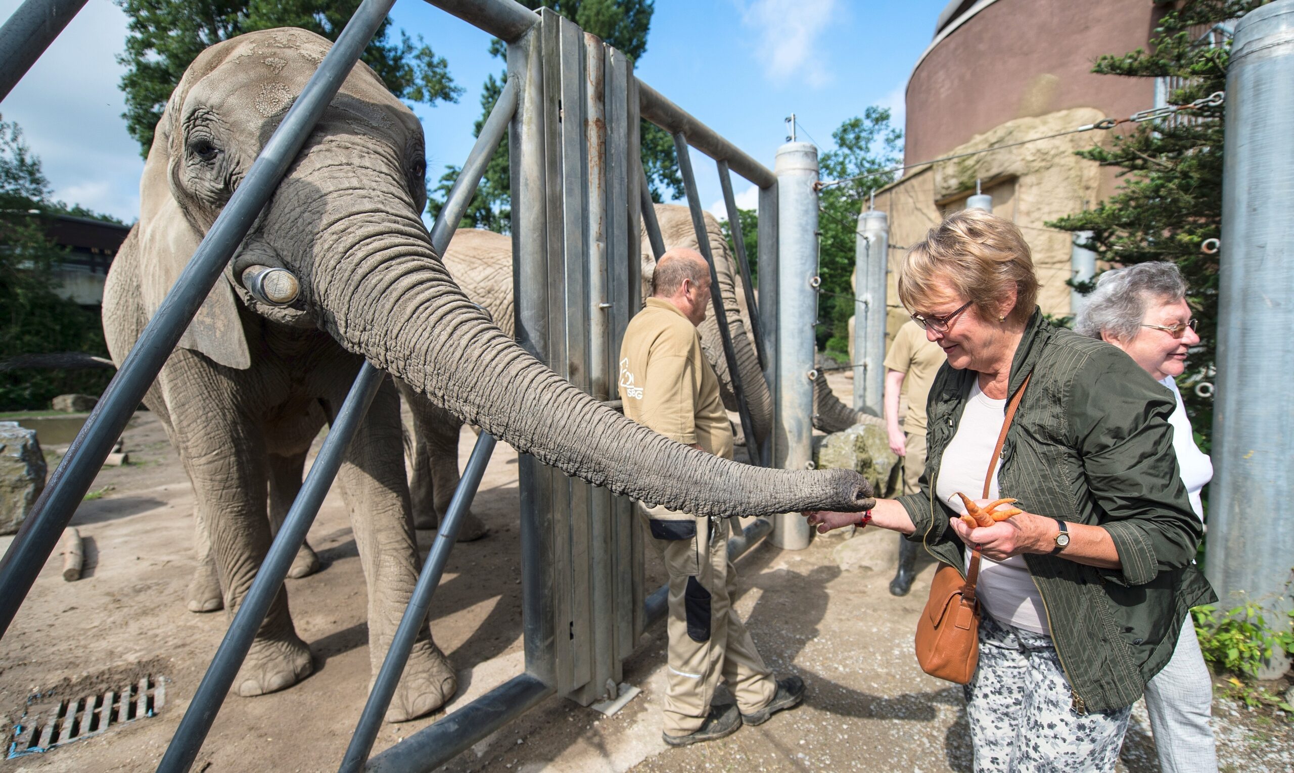 NRZ-Leser blicken im Zoo Duisburg hinter die Kulissen.