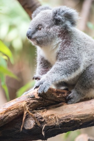 NRZ-Leser blicken im Zoo Duisburg hinter die Kulissen.