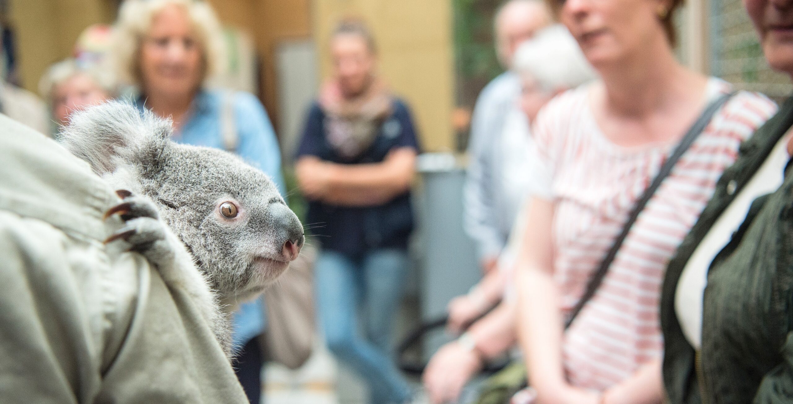 NRZ-Leser blicken im Zoo Duisburg hinter die Kulissen.