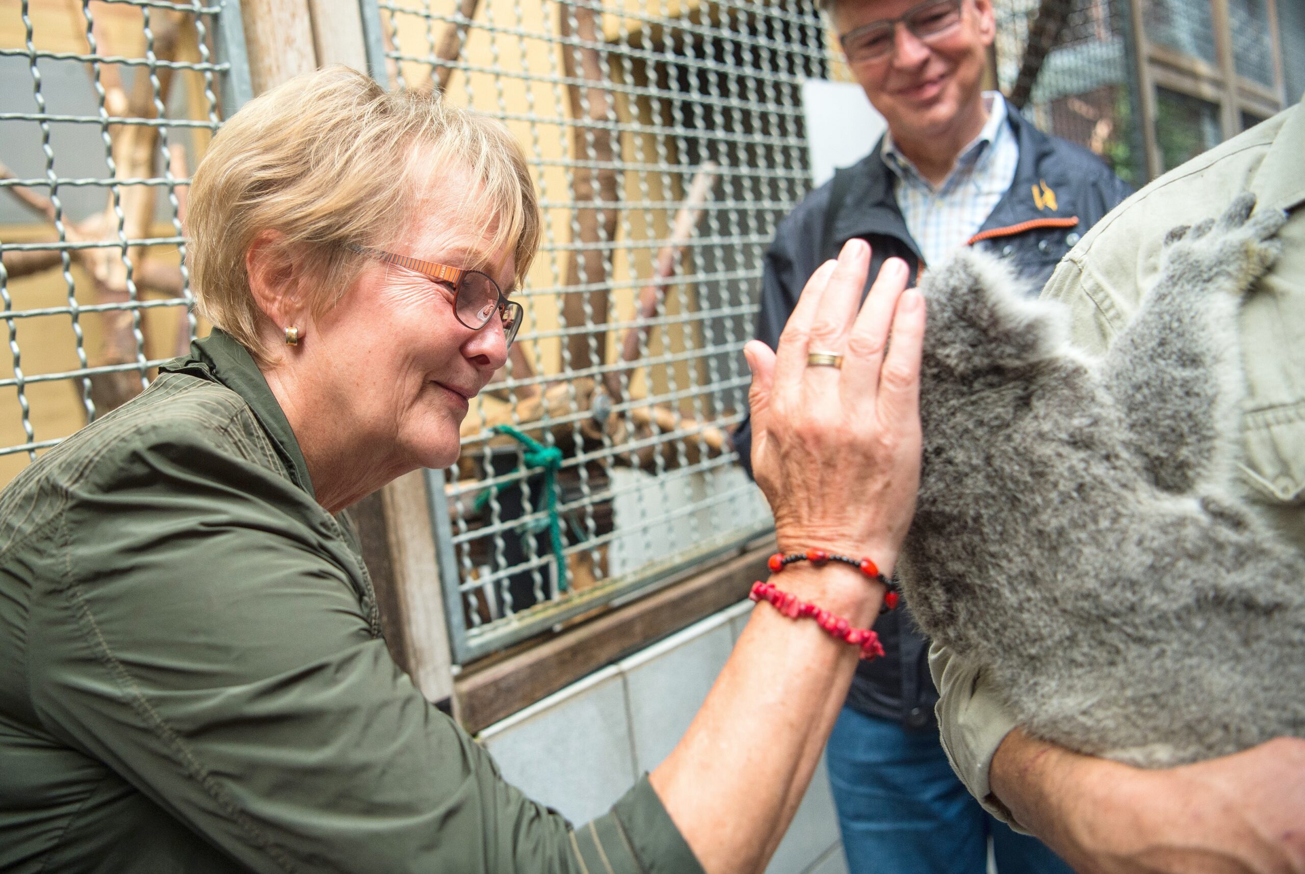 NRZ-Leser blicken im Zoo Duisburg hinter die Kulissen.