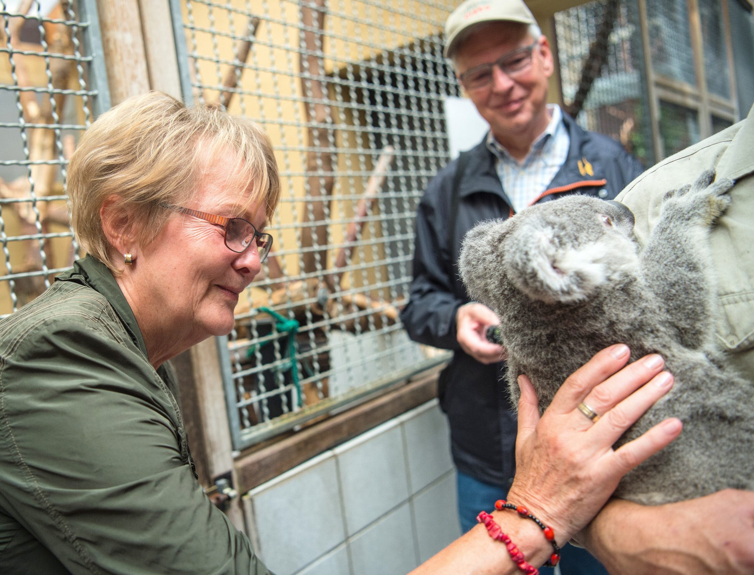 NRZ-Leser blicken im Zoo Duisburg hinter die Kulissen.