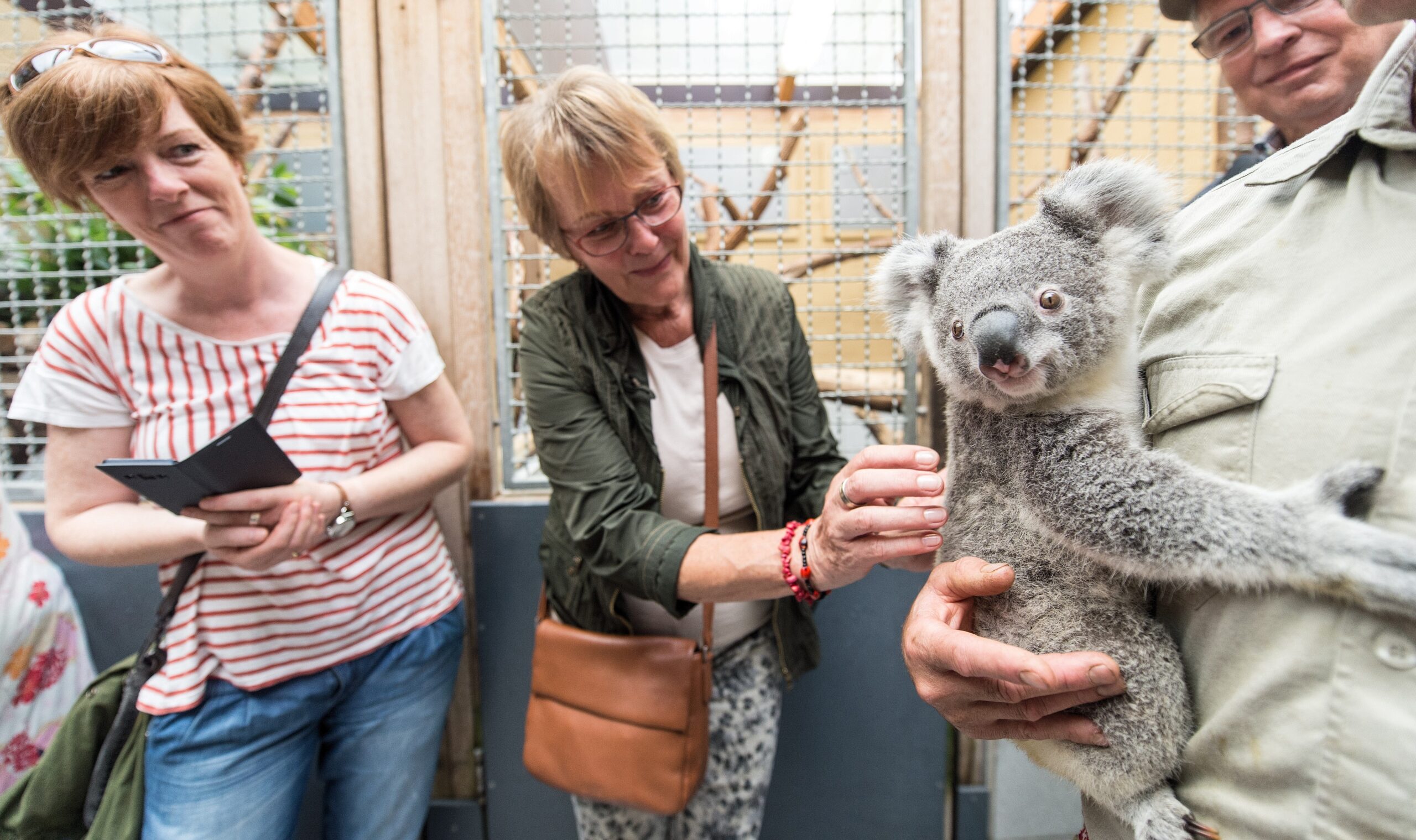 NRZ-Leser blicken im Zoo Duisburg hinter die Kulissen.