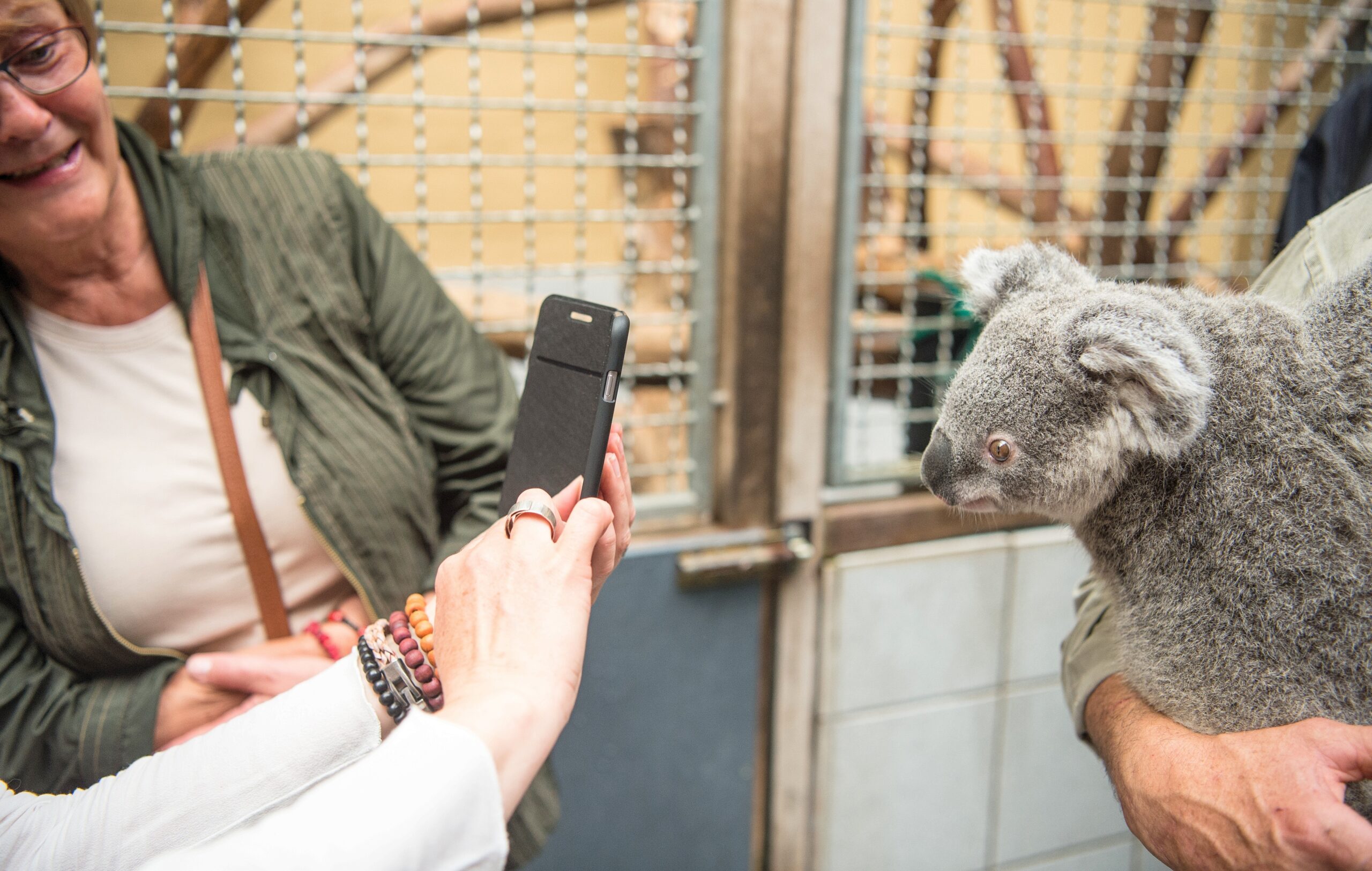 NRZ-Leser blicken im Zoo Duisburg hinter die Kulissen.