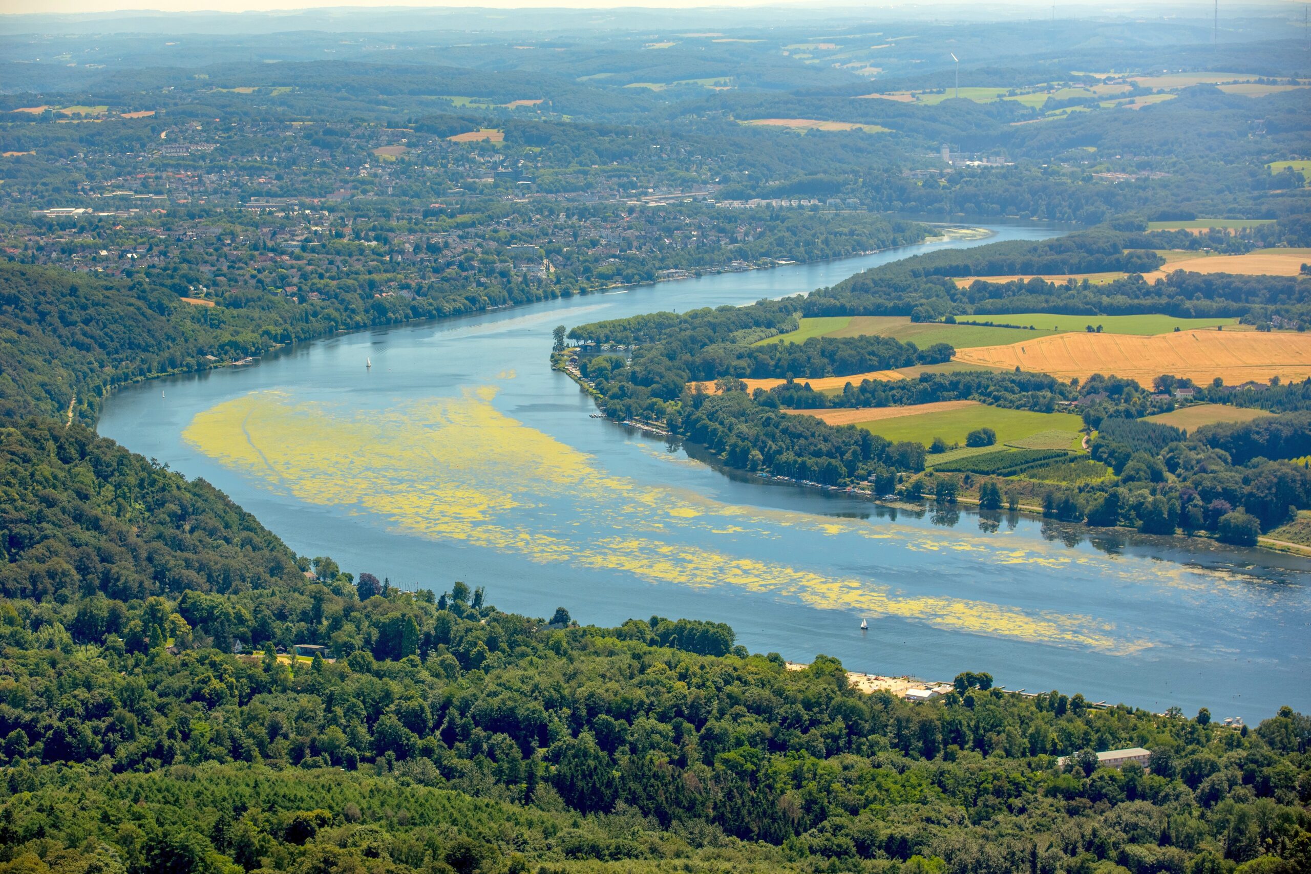 Wie der Baldeneysee in diesem Sommer zuwuchert, wird aus der Vogelperspektive besonders gut deutlich. Viele Arten von Wasserpflanzen haben sich so stark wie noch nie auf dem Baldeneysee ausgebreitet.