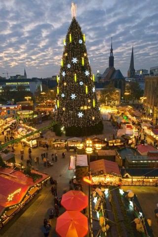 Erste Illuminierung der Riesentanne auf dem Dortmunder Weihnachtsmarkt am 17.11.2011.Foto: Knut Vahlensieck