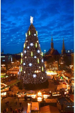 Weihnachtsbaum auf dem Dortmunder Weihnachtsmarkt ist zum ersten mal illuminiert am 17.11.2011. Foto: Knut Vahlensieck