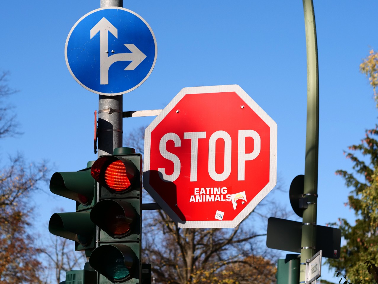 Bochum: Ein Autofahrer missachtet die rote Ampel. (Symbolbild)