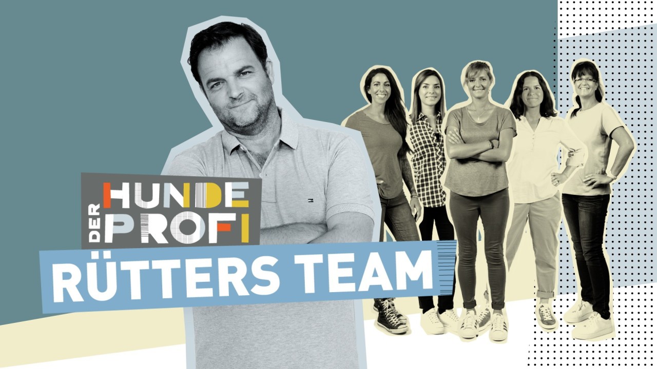 Vox holt das Format von „Der Hundeprofi – Rütters Team“ zurück ins TV. 