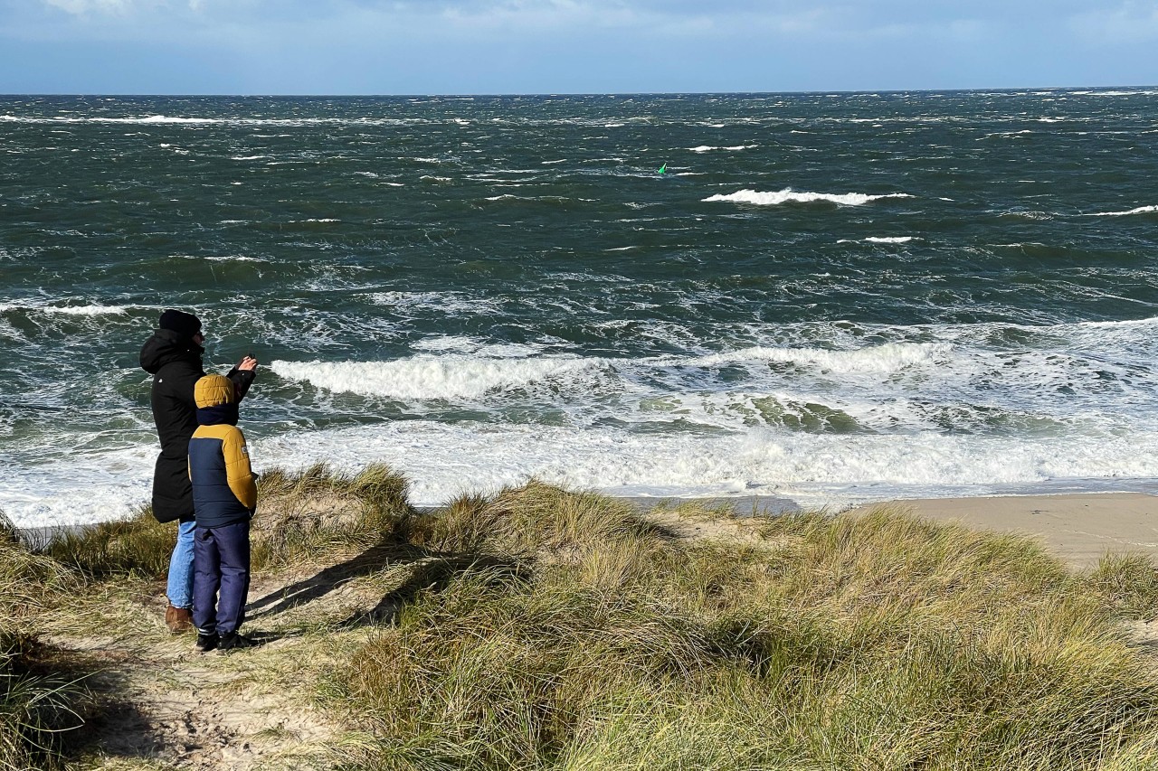 Eine Strand-Aufnahme sorgt für Furore. (Symbolbild)