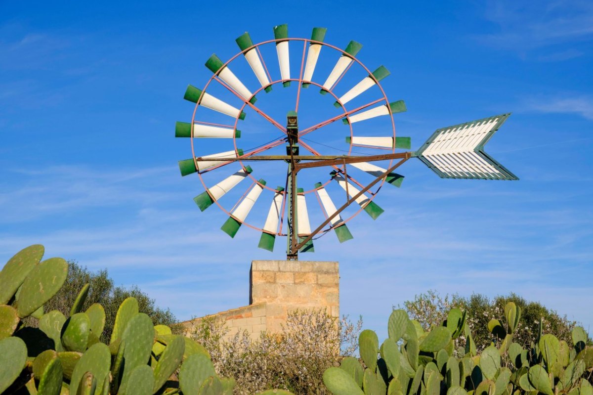 urlaub auf mallorca wetterdienst.jpg