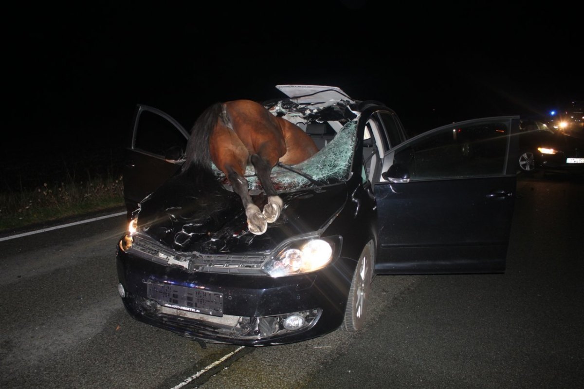 versmold-Pferd-Unfall.jpg