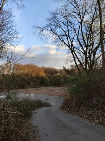 Ein Essener wünscht sich, dass auf dem Sportplatz am Volkswald wieder Leben einkehrt. 