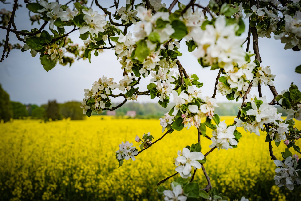 Überraschende Prognose für das Wetter in NRW! 