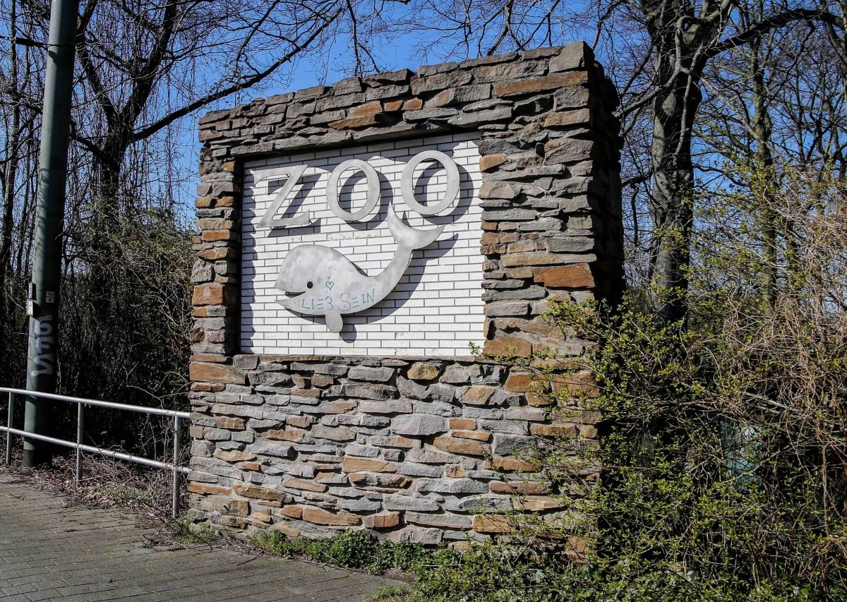 zoo duirburg .jpg