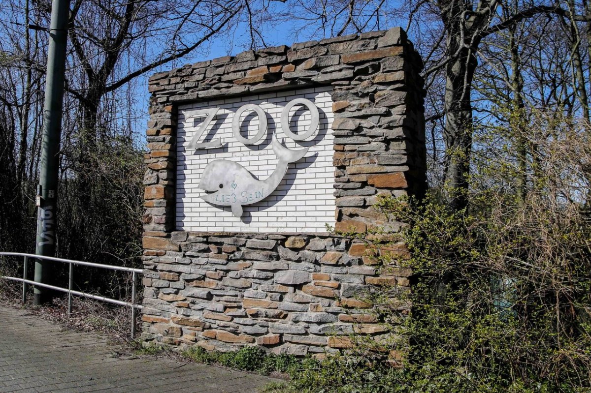 zoo duisburg.jpg