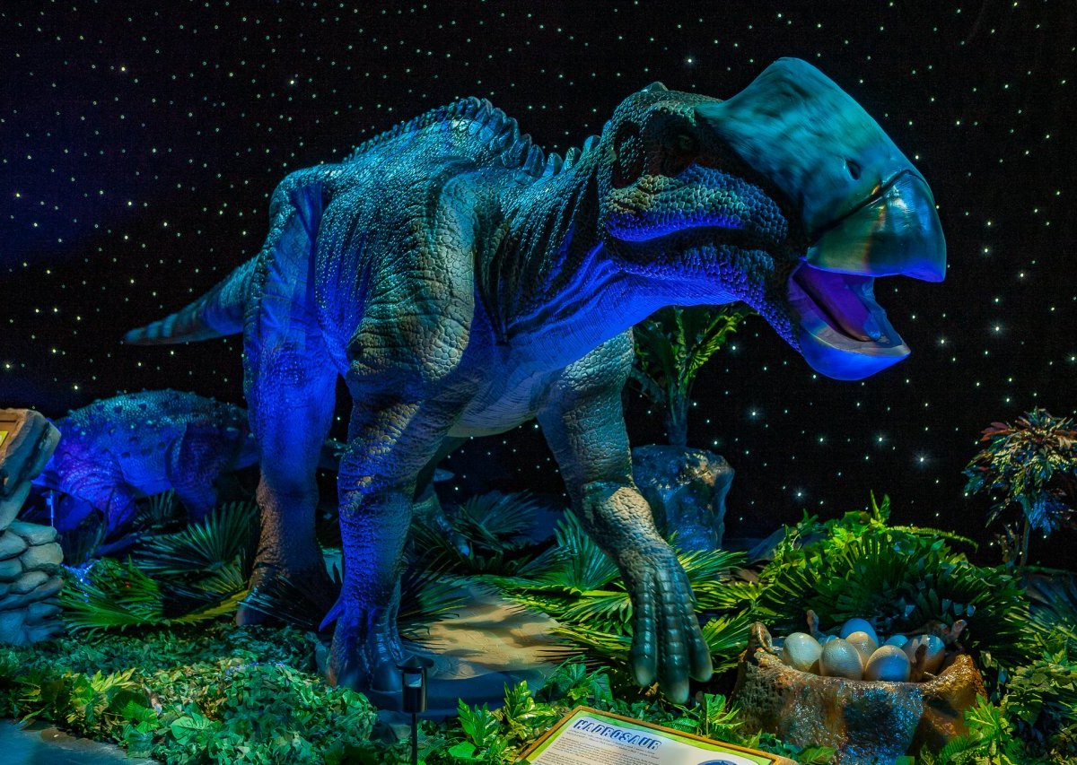 20180401_MG_9128_DinoWorld_Kassel_web2048pxl_sRGB_RainerChristianKurzeder.jpg