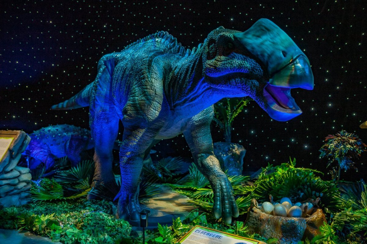 20180401_MG_9128_DinoWorld_Kassel_web2048pxl_sRGB_RainerChristianKurzeder.jpg