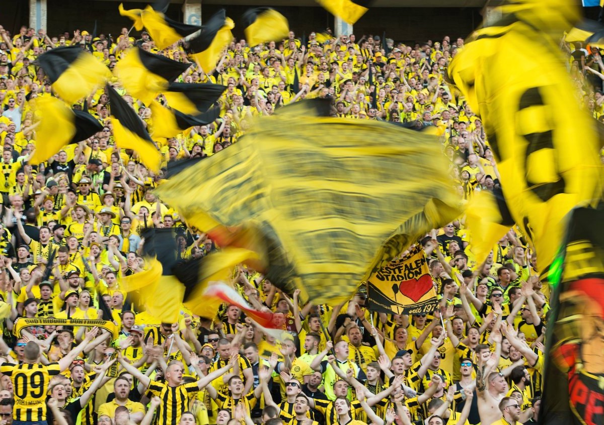 BVB Borussia Dortmund Fans