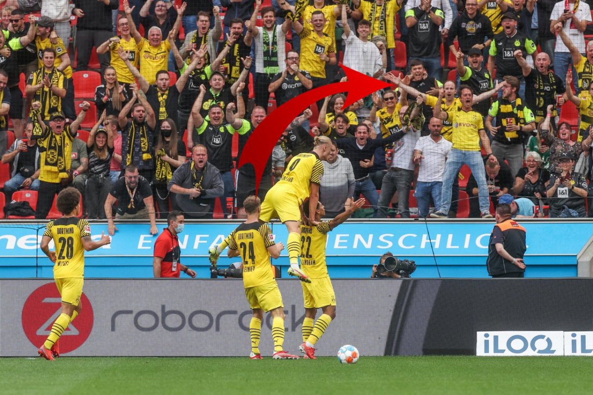 BVB-Fanaktion.jpg