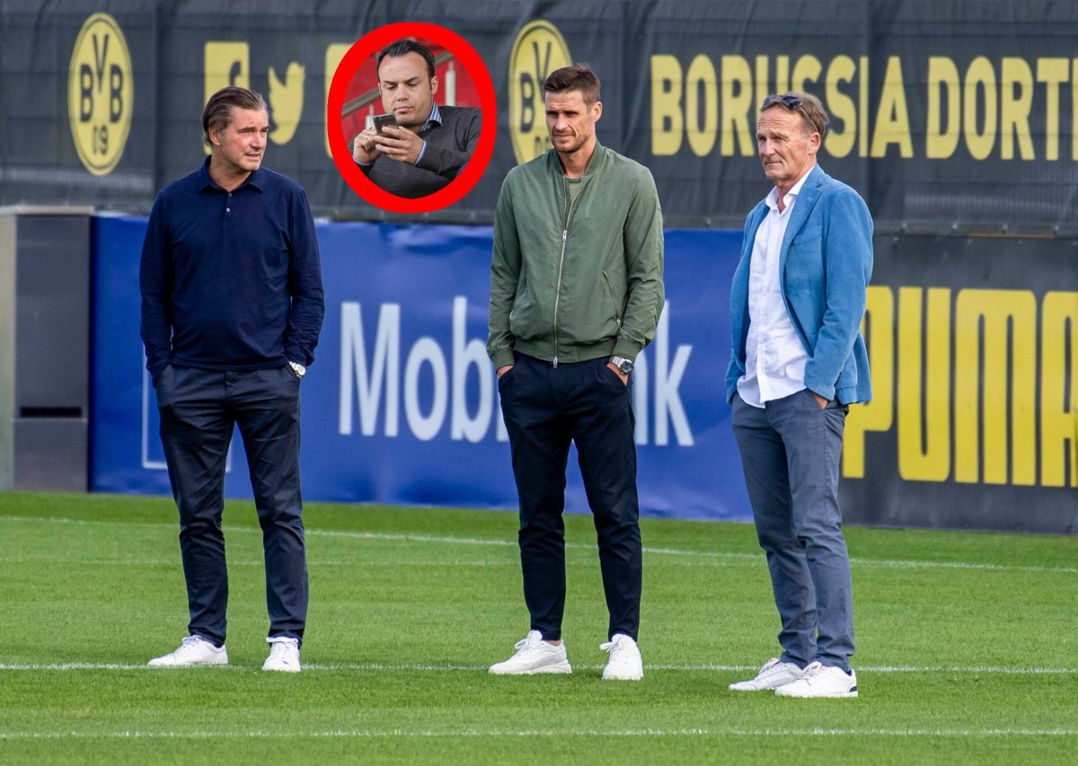 BVB-Frank.jpg