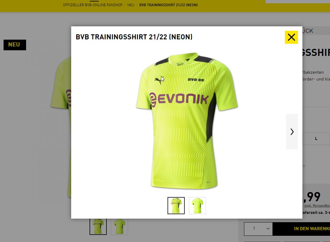 So sieht das neue Trainingsshirt des BVB aus, das es jetzt im Fanshop gibt. Auf der Vorderseite fehlt das Logo.