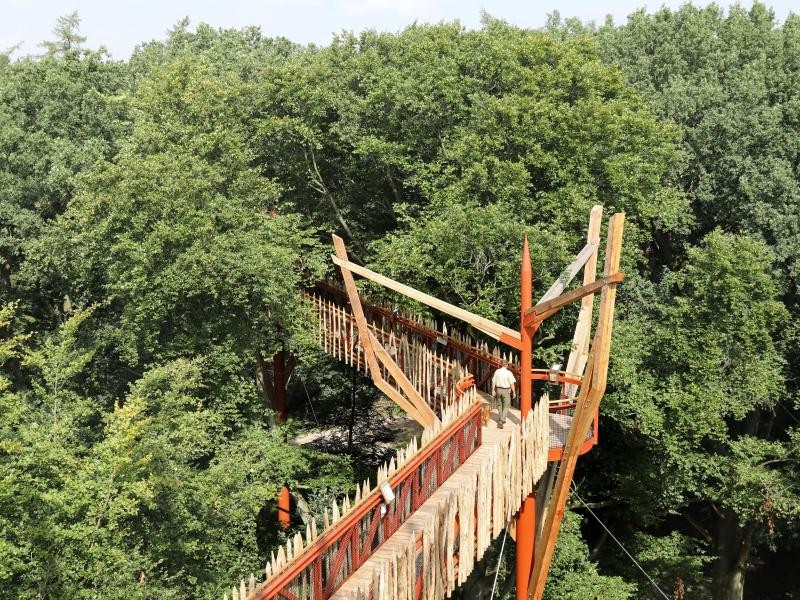 Blick in die Kronen der Bäume: Baumkronenpfad im Tierpark Ivenack in Mecklenburg-Vorpommern.