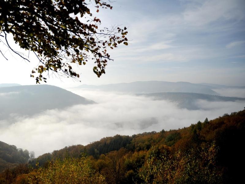 Blick über den Edersee - Ausflüge in den Naturpark sind vom Weidelshof aus gut möglich.