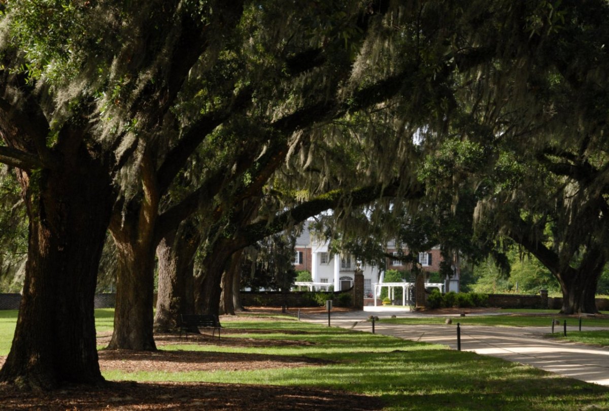 Boone Hall Plantation.jpg