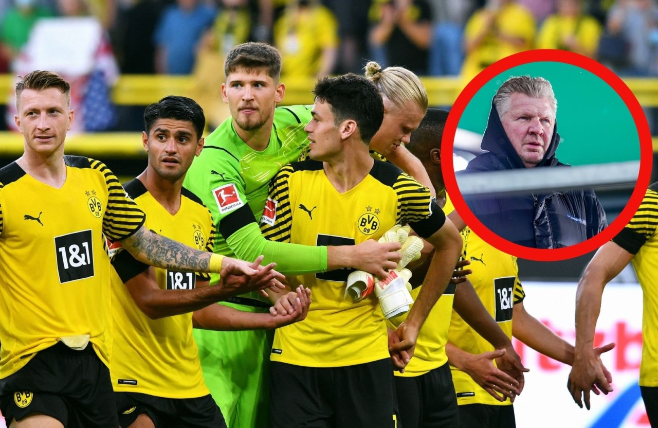 Borussia Dortmund: TV-Experte und Bayern-Legende Stefan Effenberg bringt jetzt einen BVB-Star beim deutschen Rekordmeister ins Gespräch.