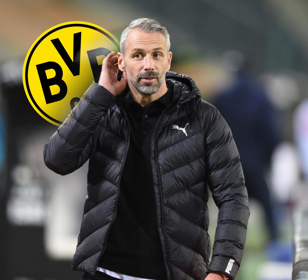 Borussia Dortmund: Das dürfte Marco Rose gar nicht gefallen., Bald Kollegen: Marco Rose (r.) und Edin Terzic., Aua! Vor Dienstantritt bei Borussia Dortmund hat Marco Rose eine schallende Ohrfeige kassiert., Vor Amtsantritt bei Borussia Dortmund ist Marco Rose von den Gladbach-Fans böse abgewatscht worden., Borussia Dortmunds Kapitän Marco Reus wurde von Steffen Baumgart kritisiert.