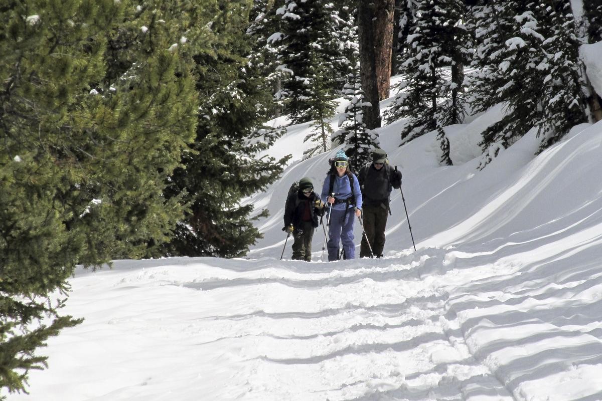 Wer durch den dicken Schnee bergauf zur «Sisters Cabin» stapft, kommt in einer halben Stunde höchstens einen Kilometer weit. 