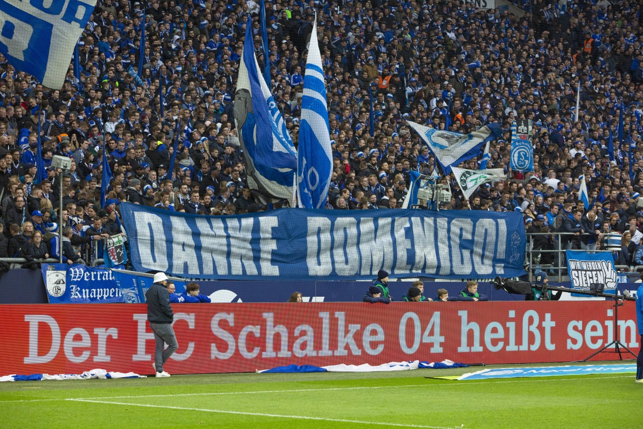 Dieses Banner zeigten S04-Fans nach der Tedesco-Entlassung.