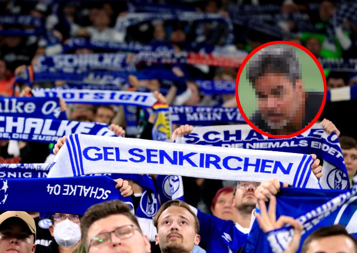 David Wagner FC Schalke 04.jpg
