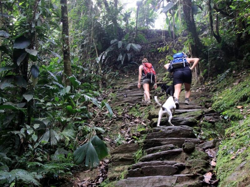 Der letzte steile Aufstieg zur Ciudad Perdida führt über 1200 steinerne Stufen.