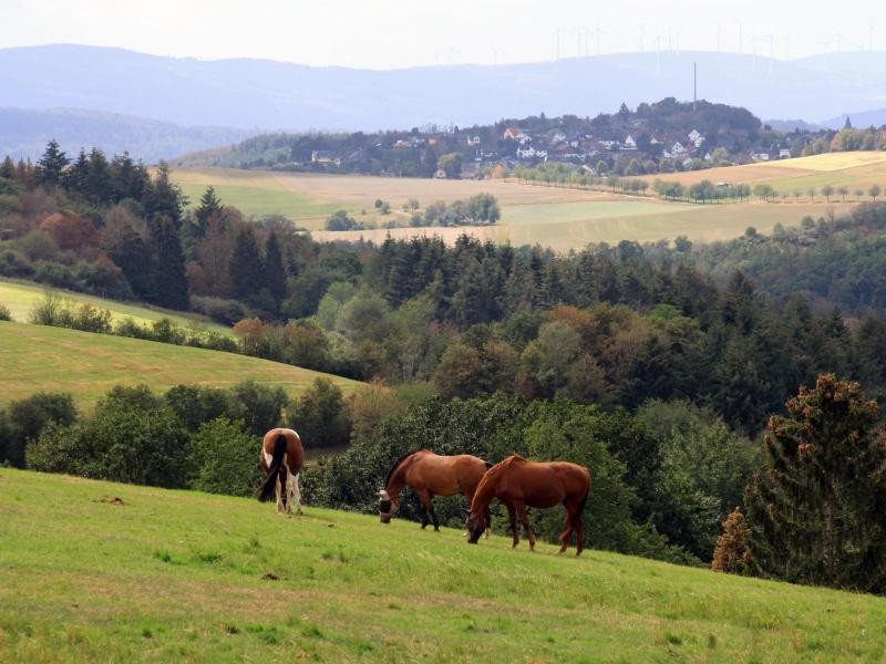 Dieser Ausblick bietet sich auf dem Rundweg Wisper-Geflüster.