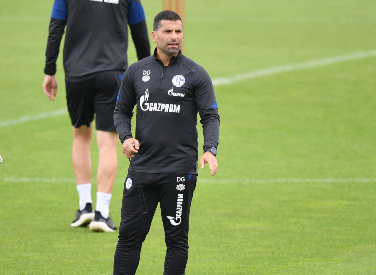 FC Schalke 04: Hat Matthew Hoppe unter Dimitrios Grammozis eine Chance? 