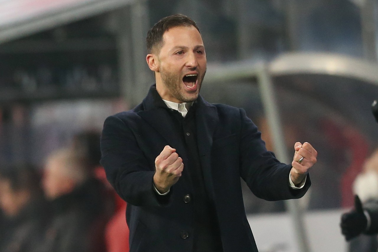 FC Schalke 04: Domenico Tedesco holen alte Aussagen wieder ein.