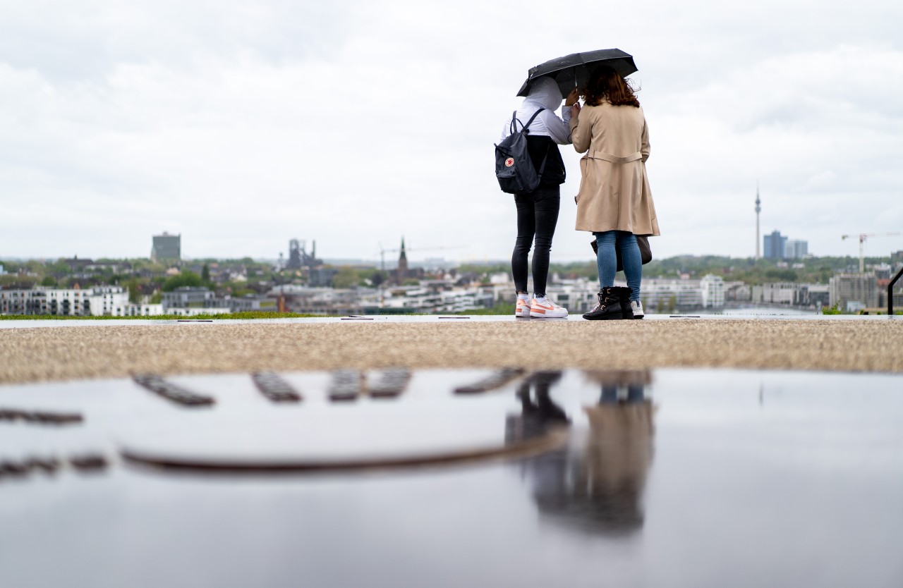 Dortmund: Bei diesem Wohnungsangebot am Phönixsee schlackern einem die Ohren. (Symbolbild)