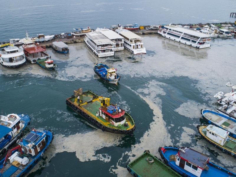 Eine dicke Schicht von Meeresschleim bedeckt das Marmarameer am Fischerhafen von Kartal, auf der asiatischen Seite Istanbuls.