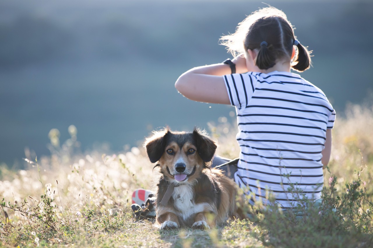 In Essen ist ein Mädchen auf ihrer Gassirunde mit ihrem Hund belästigt worden. (Symbolbild)