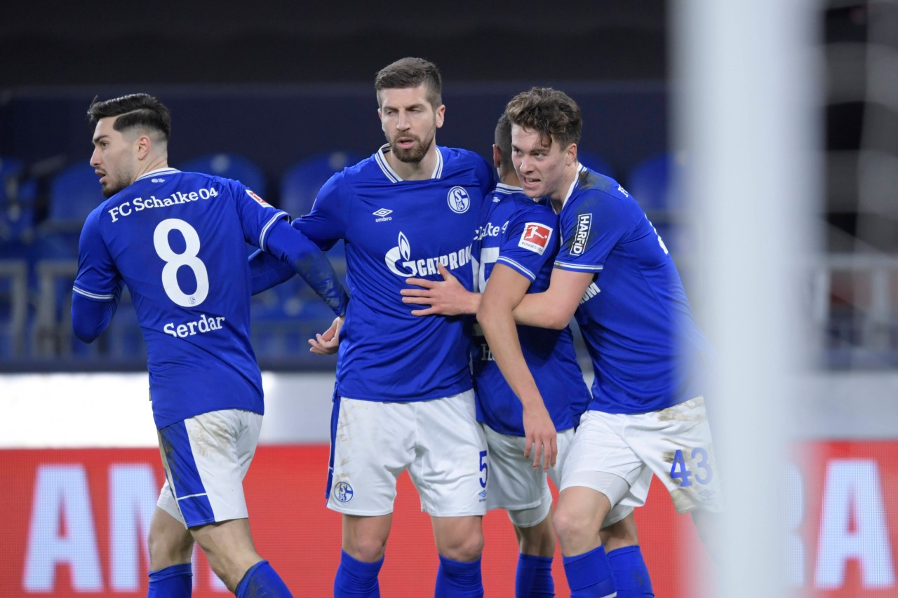 FC Schalke 04: Der Blick bei Matthew Hoppe geht wieder nach vorn. (Archivbild)